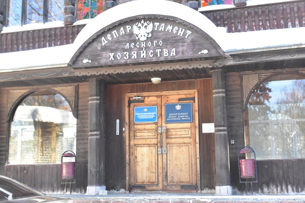 Костромская область удерживает первенство в ЦФО по защите лесов от пожаров и лесовосстановлению