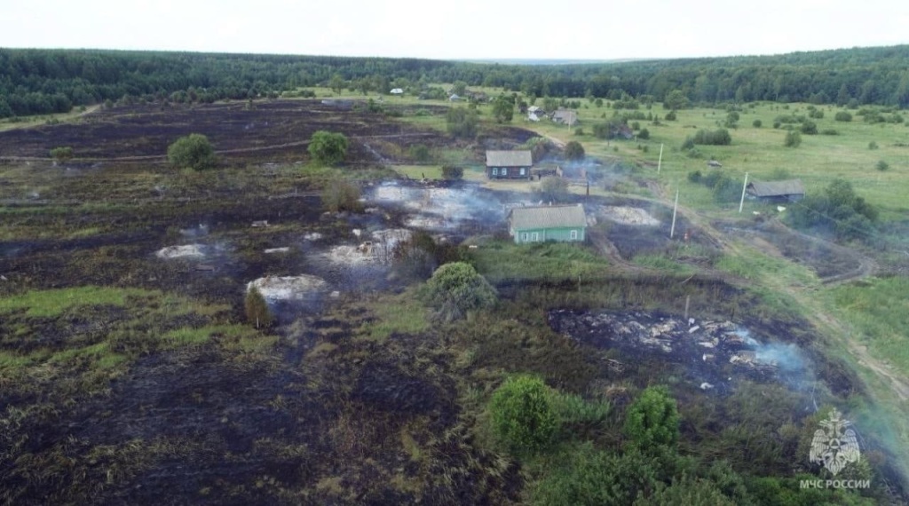 В Мордовии ввели особый противопожарный режим
