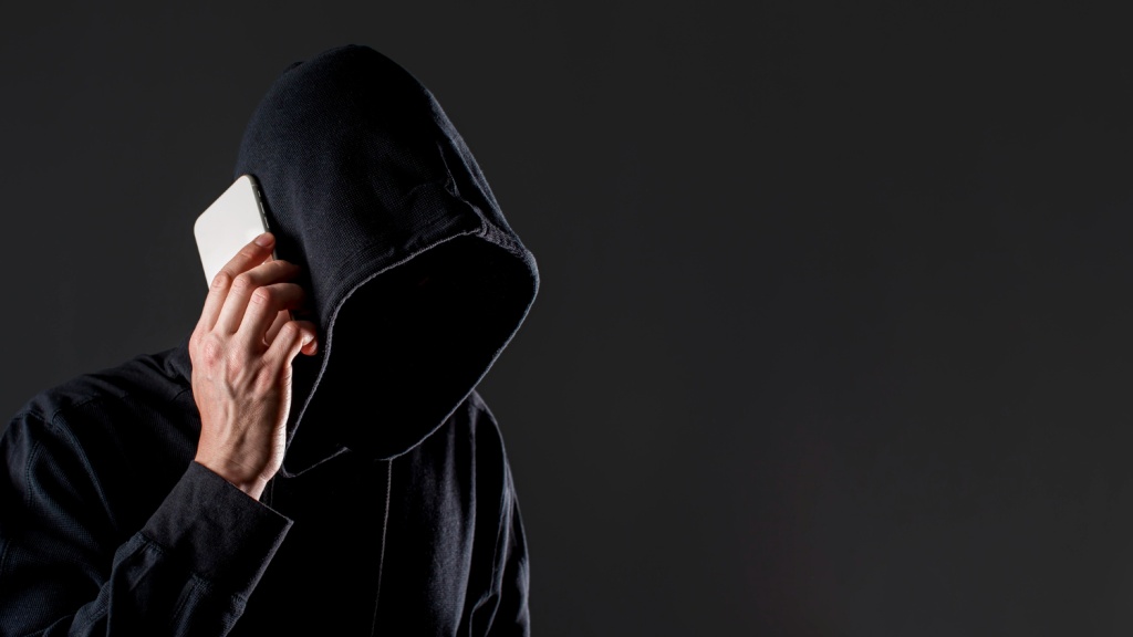 Мошенники за сутки похитили у жителей Воронежской области почти 9 миллионов рублей