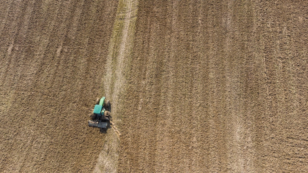 Глава Минсельхоза Приангарья рассказала о планах растениеводческих ферм на текущий год