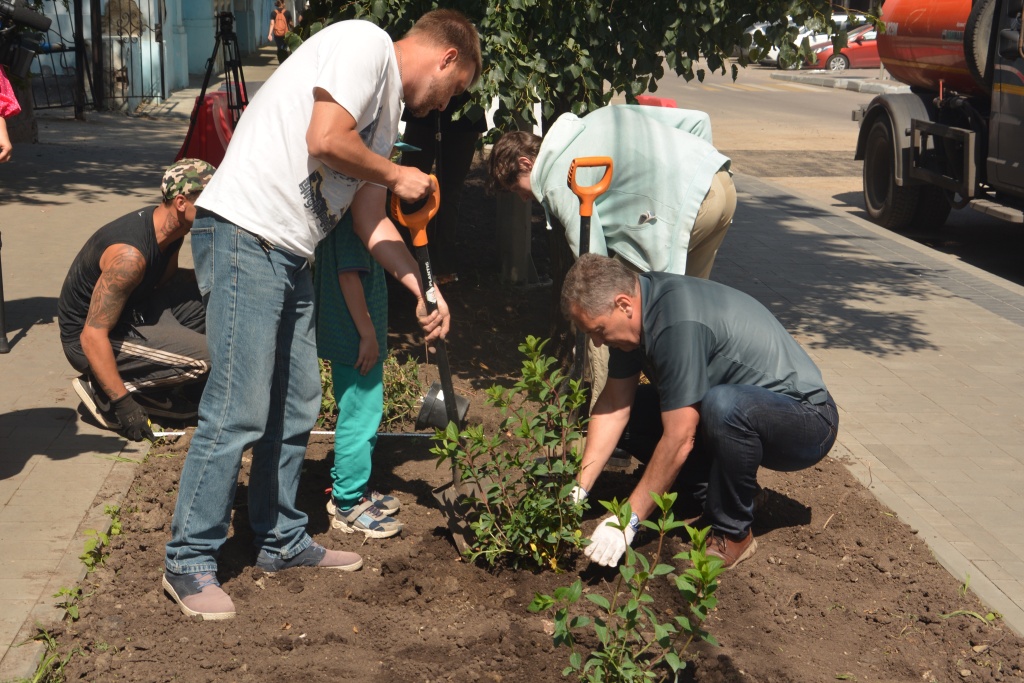 Депутат воронежской гордумы Константин Ашифин провёл мастер-класс по посадке гортензий